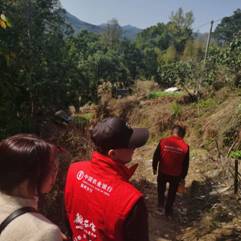 1ed560186a1735ae7bd663a09b5225a1