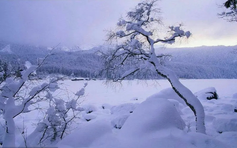 北京東方縱橫認證中心有限公司