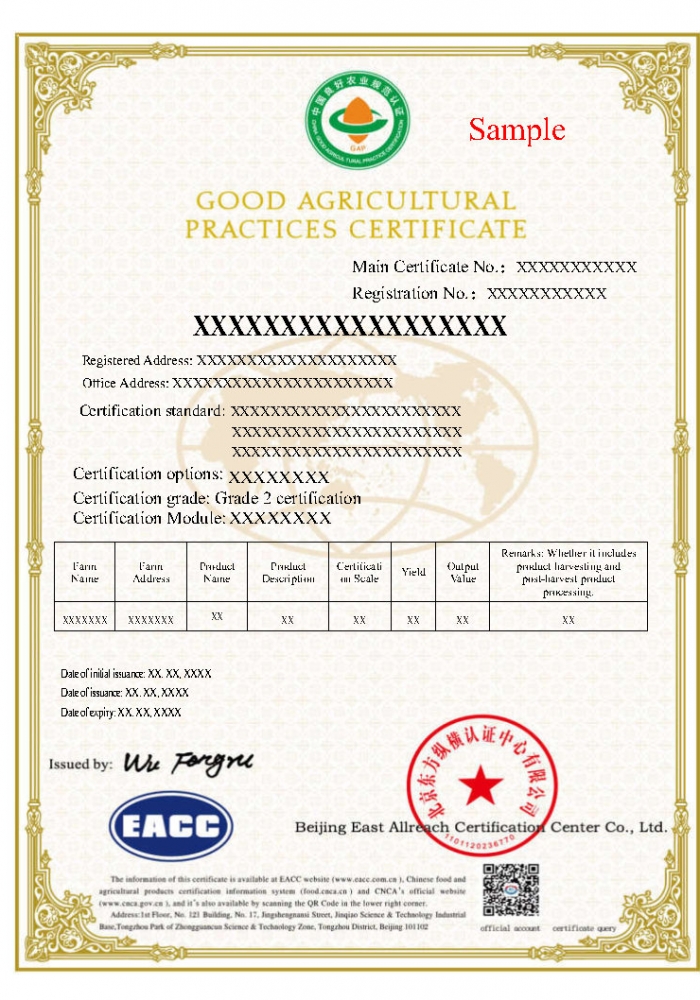 GAP+與GAP證書樣本