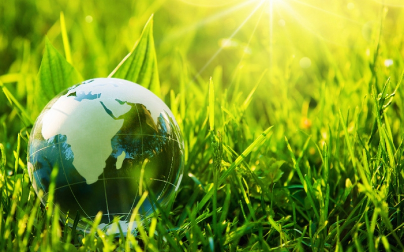 江蘇首批零碳農(nóng)產(chǎn)品認(rèn)證企業(yè)社會(huì)經(jīng)濟(jì)效益顯著提升