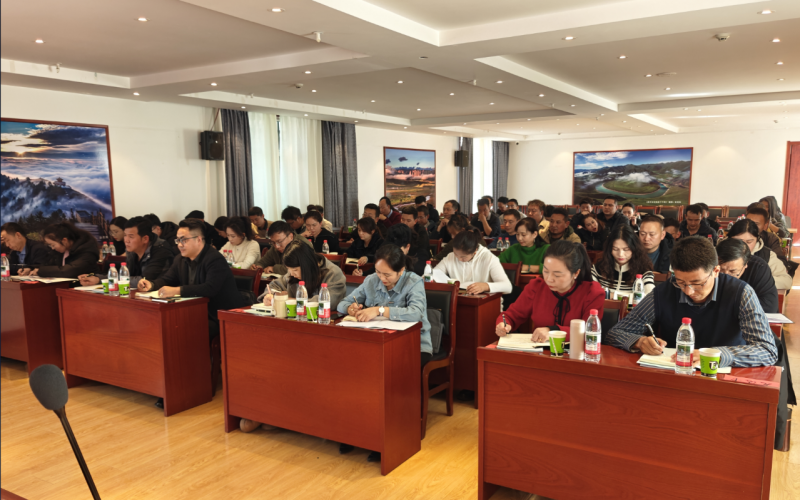 充分發揮東方縱橫技術優勢 助力甘南州外貿企業高質量發展